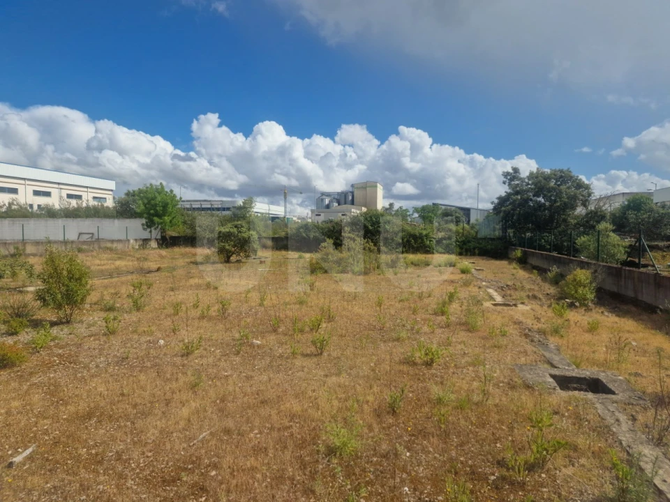 Terreno para Venda em Arraiolos Foto 5