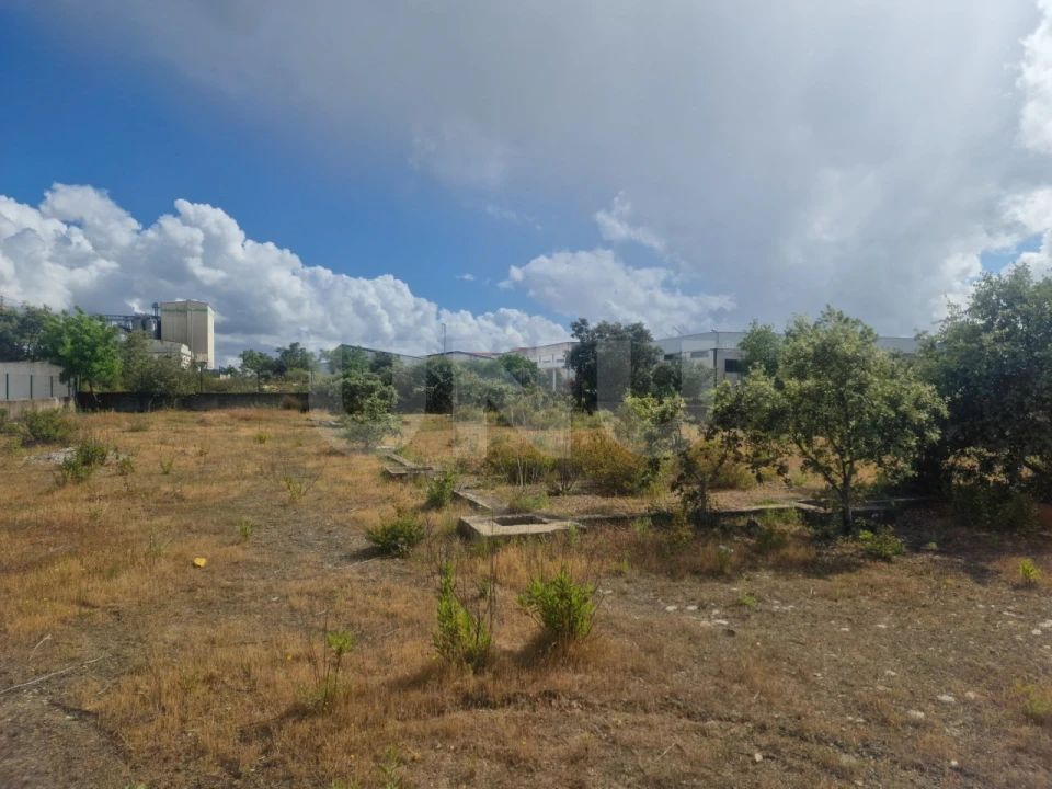 Terreno para Venda em Arraiolos Foto 7