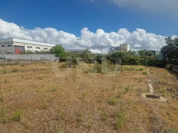 Terreno para Venda em Arraiolos