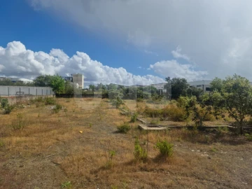 Terreno para Venda em Arraiolos