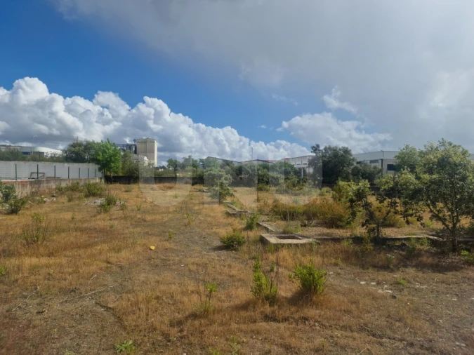 Terreno para Venda em Arraiolos Foto 8