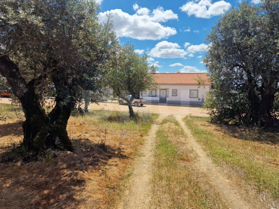 Terreno para Venda em Nossa Senhora da Conceição, São Brás dos Matos, Juromenha Foto 11
