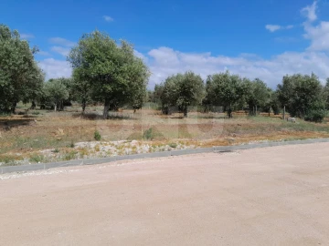 Terreno para Venda em Nossa Senhora da Conceição, São Brás dos Matos, Juromenha