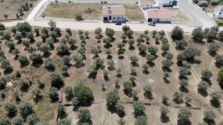 Terreno para Venda em Nossa Senhora da Conceição, São Brás dos Matos, Juromenha