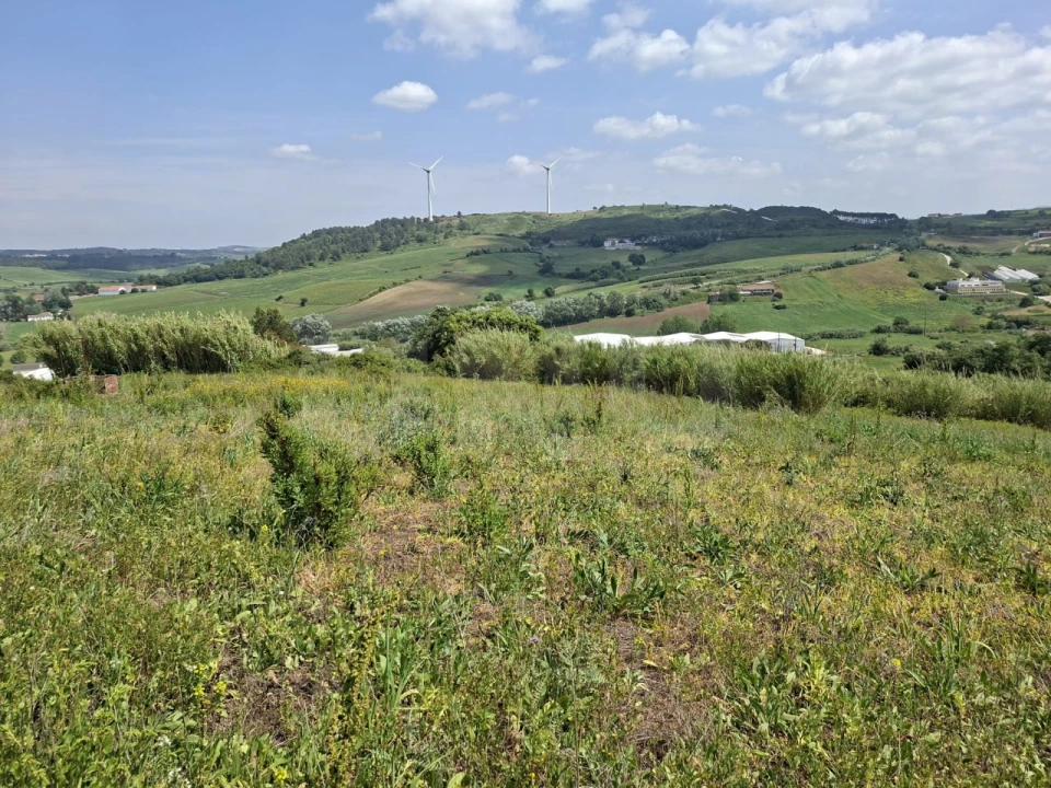 Terreno para Venda em Dois Portos e Runa Foto 3