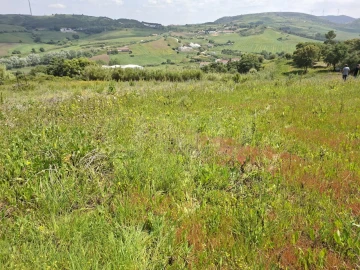 Terreno para Venda em Dois Portos e Runa