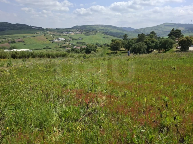 Terreno para Venda em Dois Portos e Runa Foto 4