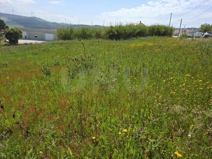 Terreno para Venda em Dois Portos e Runa Foto 5