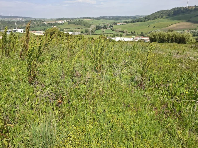 Terreno para Venda em Dois Portos e Runa Foto 6