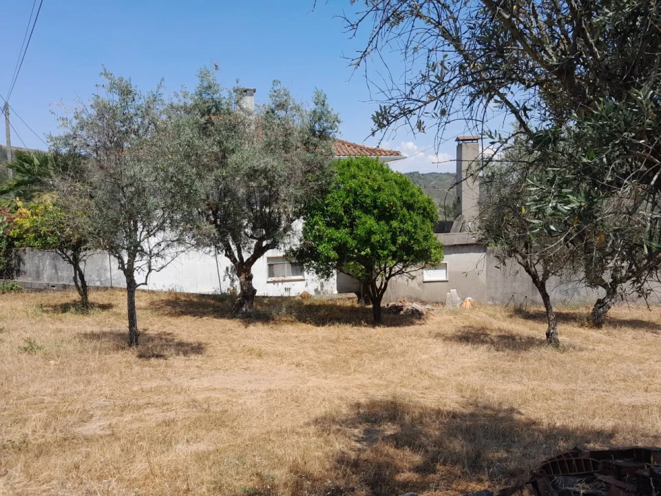 Moradia T4 para Venda em Mação, Penhascoso e Aboboreira Foto 22