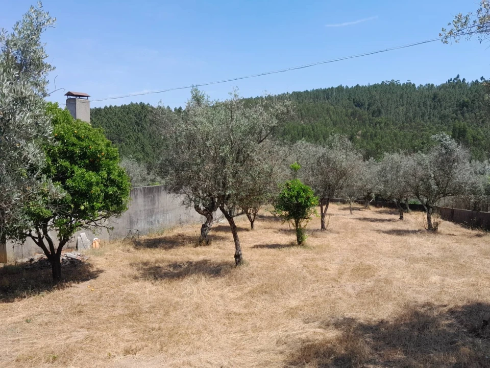 Moradia T4 para Venda em Mação, Penhascoso e Aboboreira Foto 25