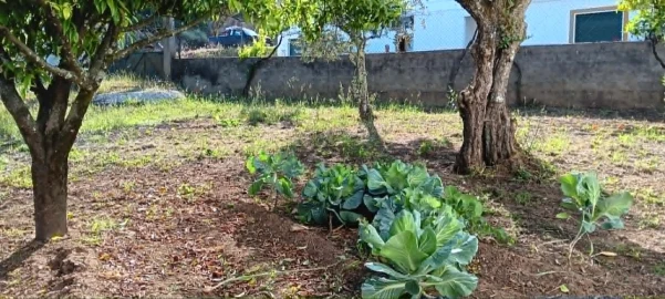 Moradia T4 para Venda em Mação, Penhascoso e Aboboreira