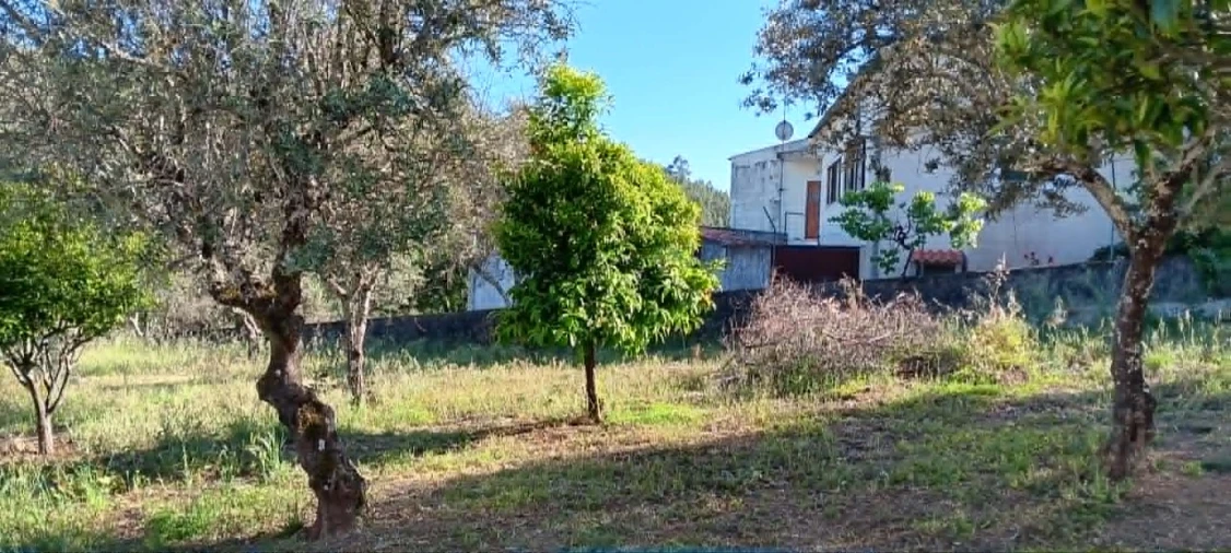 Moradia T4 para Venda em Mação, Penhascoso e Aboboreira Foto 20
