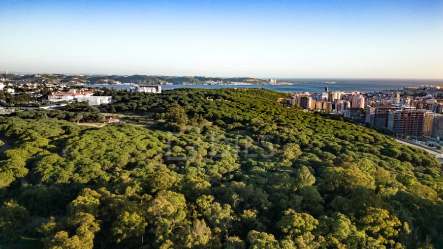 Escritório para Arrendamento em Algés, Linda-A-Velha e Cruz Quebrada-Dafundo Foto 24