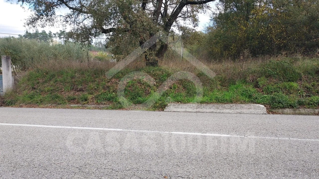 Terreno para Venda em Santiago e São Simão de Litém e Albergaria dos Doze Foto 2