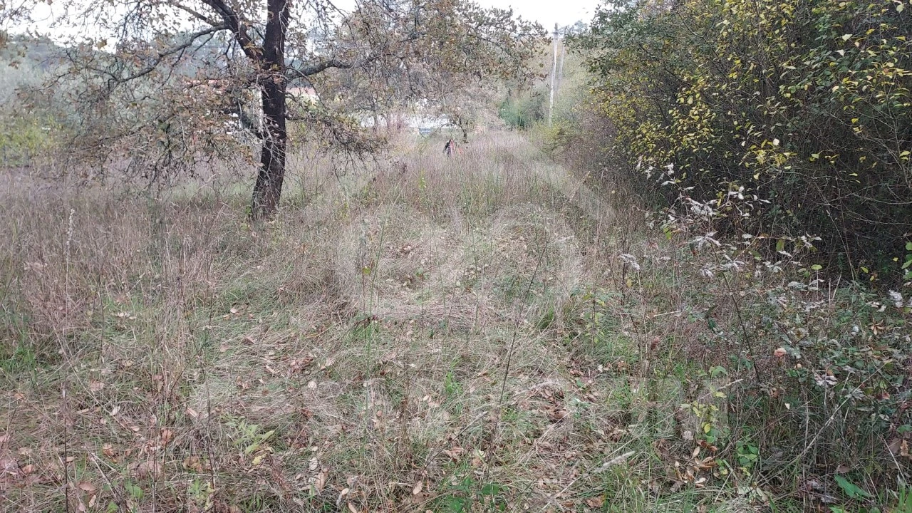 Terreno para Venda em Santiago e São Simão de Litém e Albergaria dos Doze Foto 4