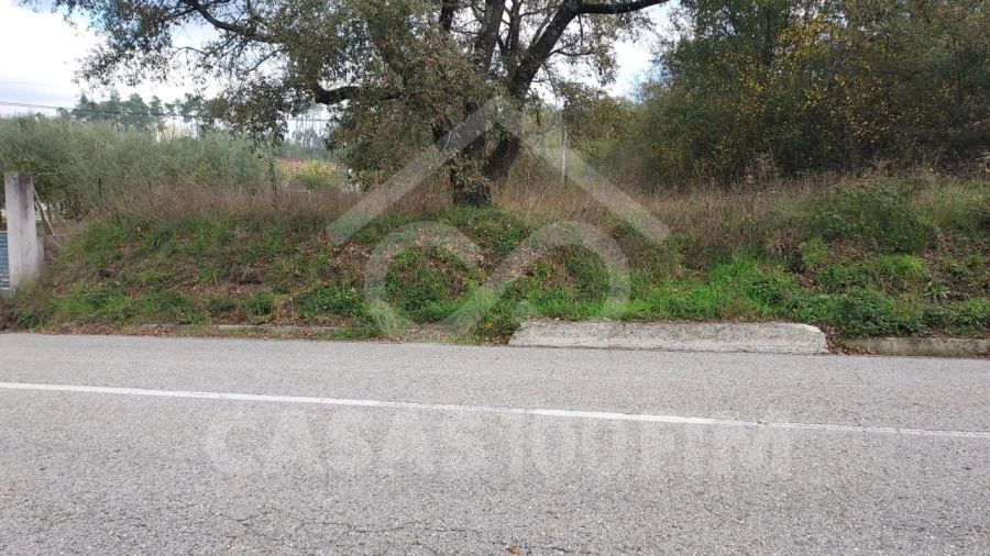 Terreno para Venda em Santiago e São Simão de Litém e Albergaria dos Doze Foto 2