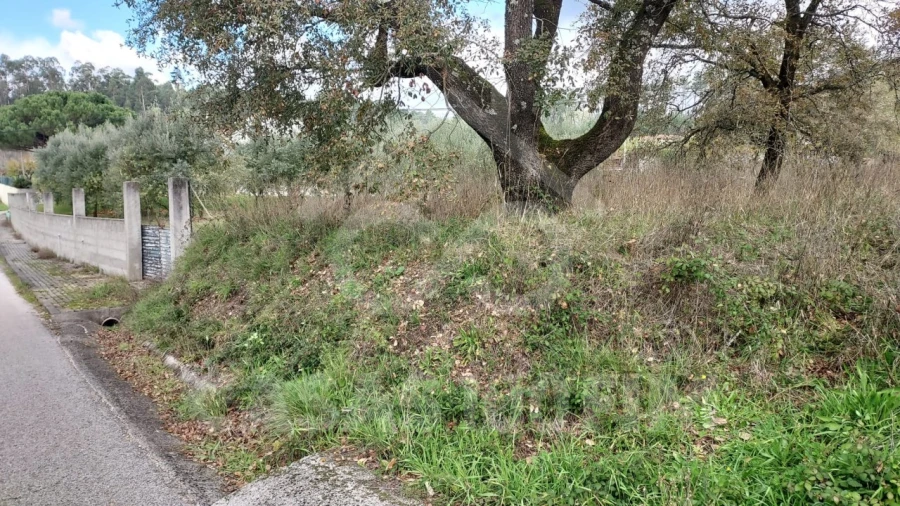 Terreno para Venda em Santiago e São Simão de Litém e Albergaria dos Doze Foto 3