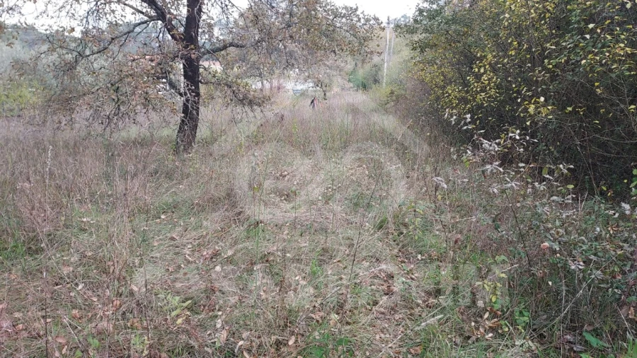 Terreno para Venda em Santiago e São Simão de Litém e Albergaria dos Doze Foto 4