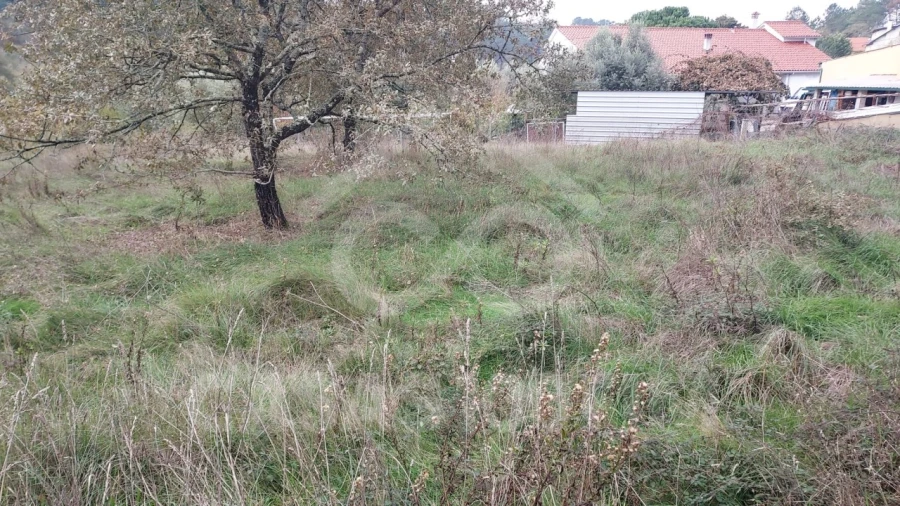 Terreno para Venda em Santiago e São Simão de Litém e Albergaria dos Doze Foto 5