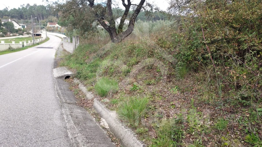 Terreno para Venda em Santiago e São Simão de Litém e Albergaria dos Doze