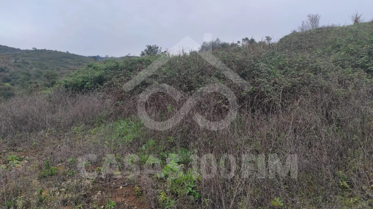Terreno para Venda em Porto de Mós - São João Baptista e São Pedro Foto 2