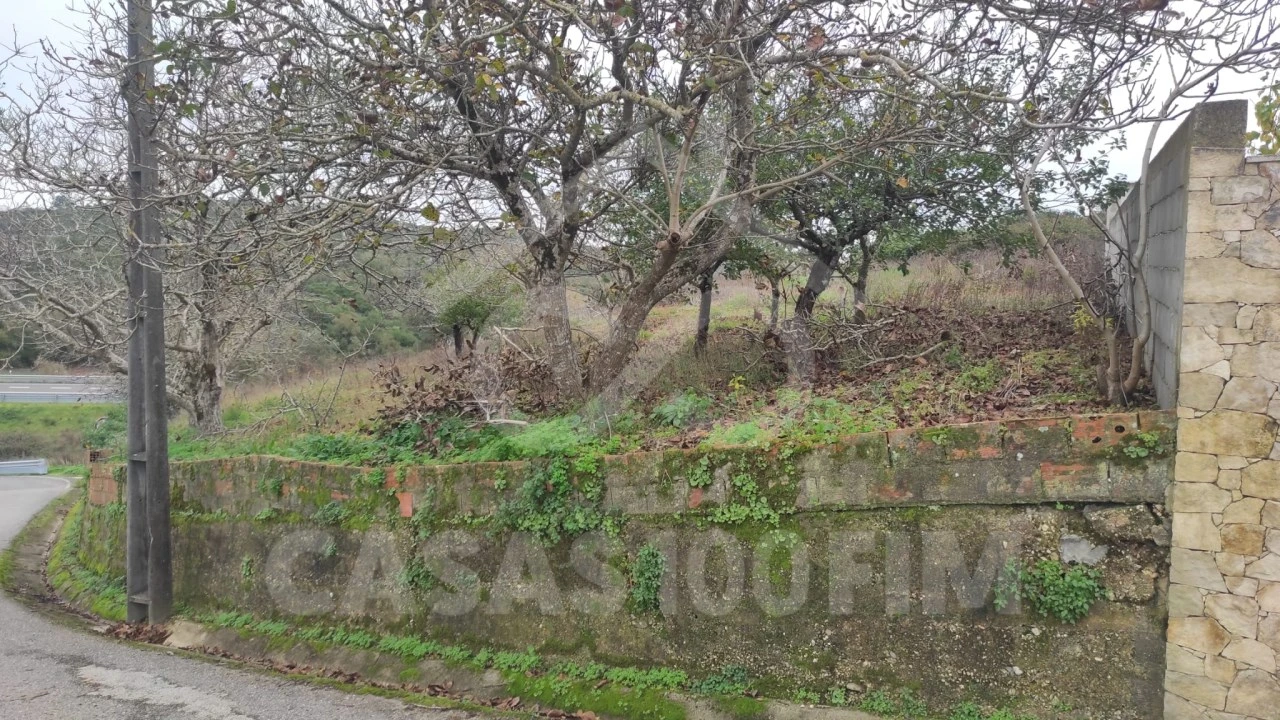 Terreno para Venda em Porto de Mós - São João Baptista e São Pedro Foto 4