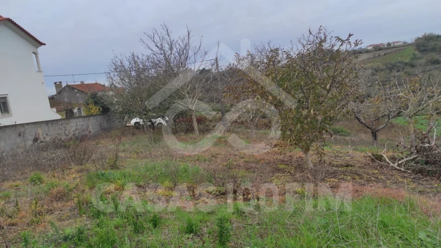 Terreno para Venda em Porto de Mós - São João Baptista e São Pedro Foto 5