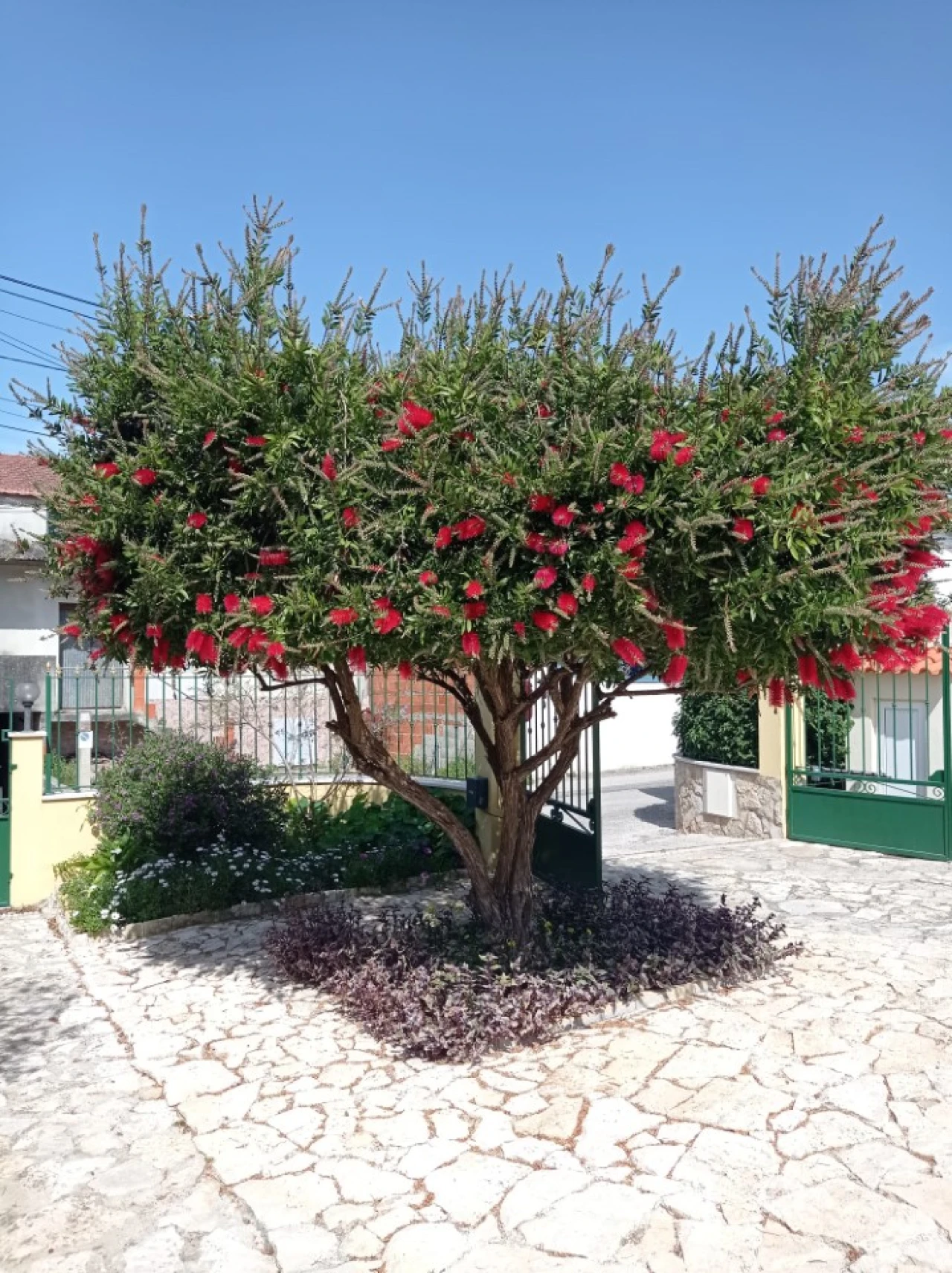 Moradia T4 para Venda em Alfeizerão Foto 16