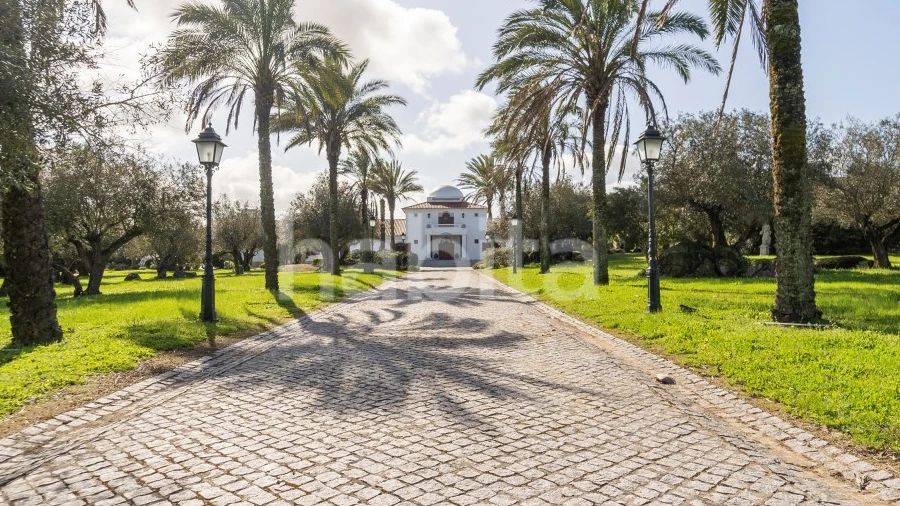 Quinta T5 para Venda em Bacelo e Senhora da Saúde