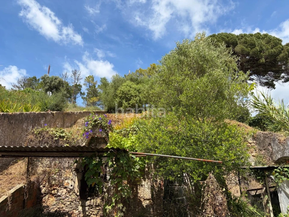 Moradia T2 para Venda em Santiago do Cacém, Santa Cruz e São Bartolomeu da Serra Foto 20