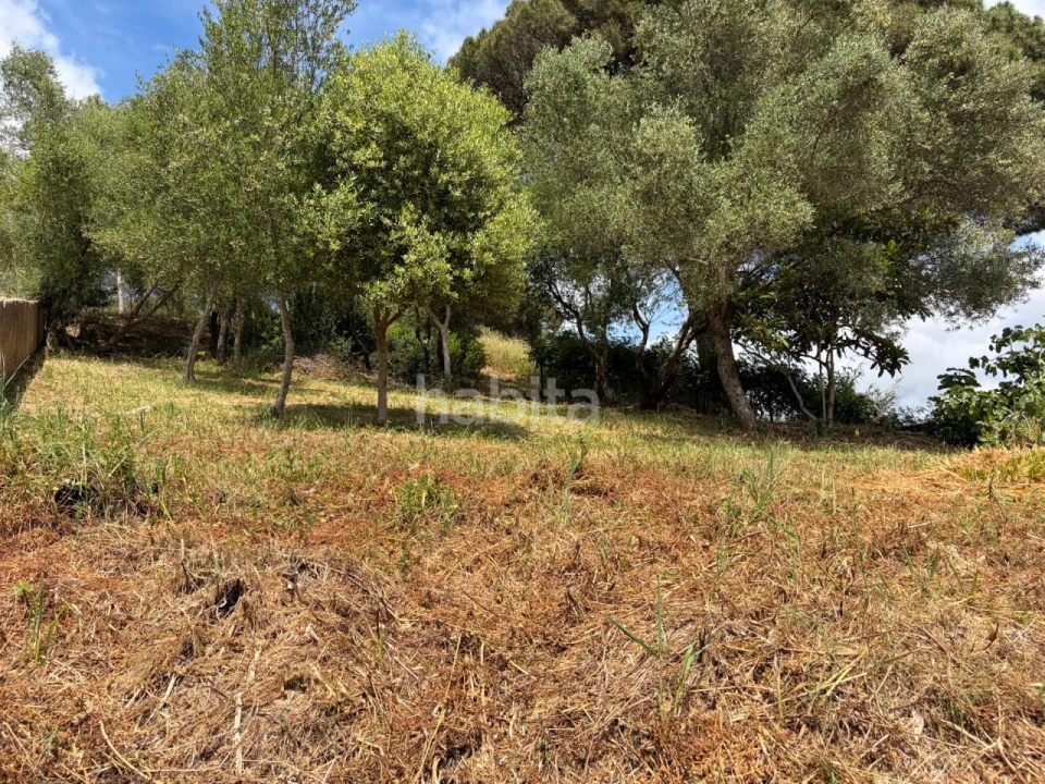 Moradia T2 para Venda em Santiago do Cacém, Santa Cruz e São Bartolomeu da Serra Foto 21