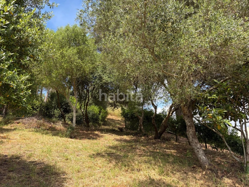 Moradia T2 para Venda em Santiago do Cacém, Santa Cruz e São Bartolomeu da Serra Foto 23