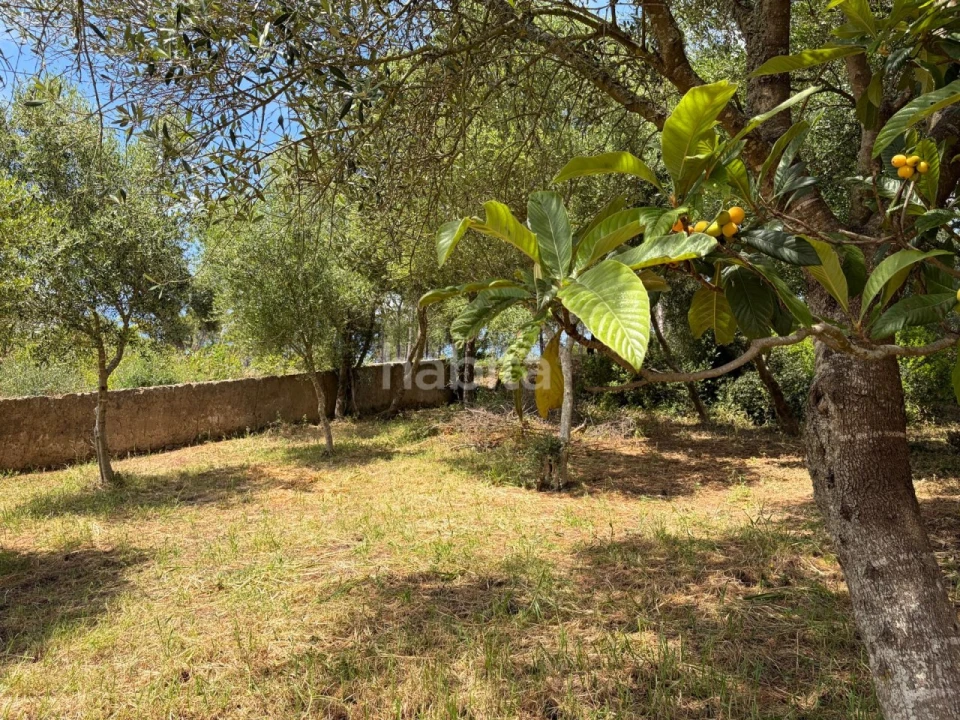 Moradia T2 para Venda em Santiago do Cacém, Santa Cruz e São Bartolomeu da Serra Foto 24