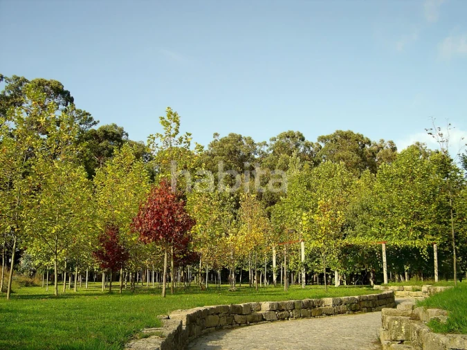 Apartamento T3 para Venda em Aldoar, Foz do Douro e Nevogilde Foto 14
