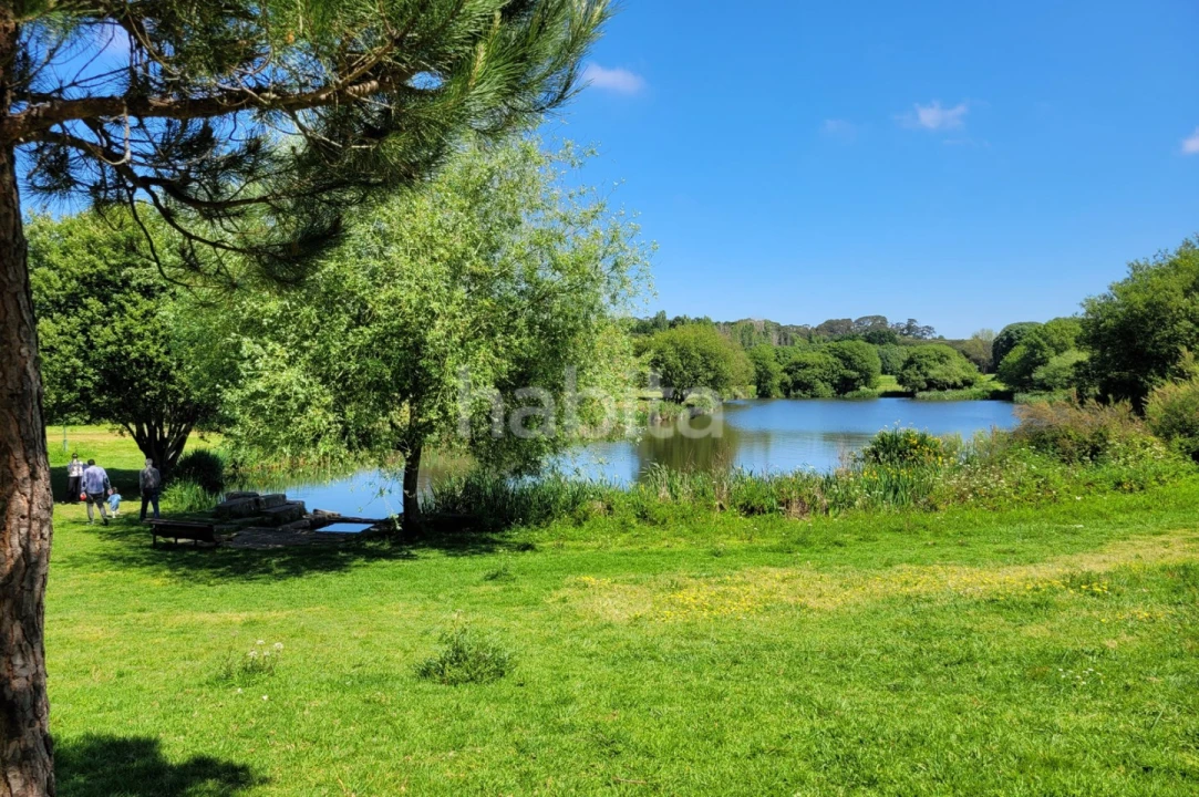 Apartamento T2 para Venda em Aldoar, Foz do Douro e Nevogilde Foto 14