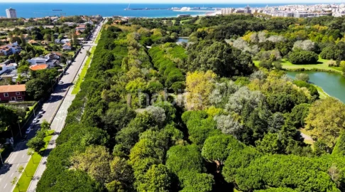 Apartamento T2 para Venda em Aldoar, Foz do Douro e Nevogilde
