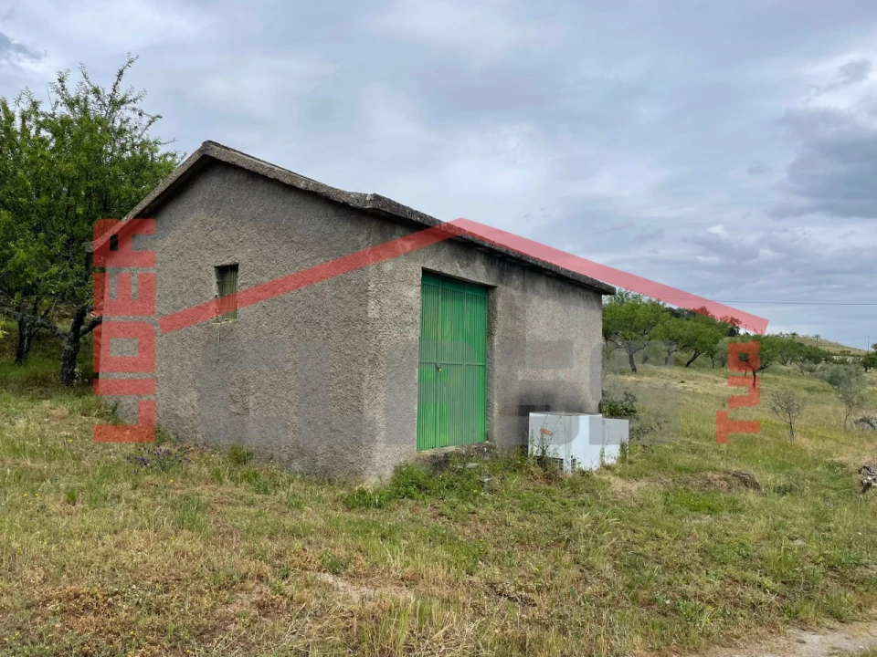Terreno Agricola ou Rústico para Venda em Seixo de Manhoses Foto 6