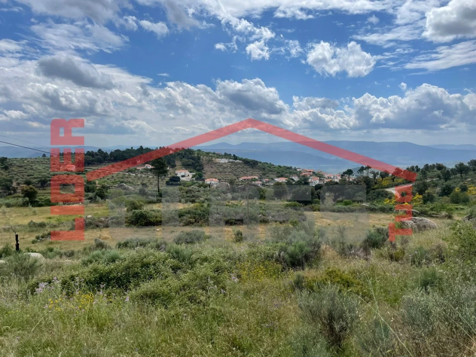 Terreno Agricola ou Rústico para Venda em Seixo de Manhoses Foto 3