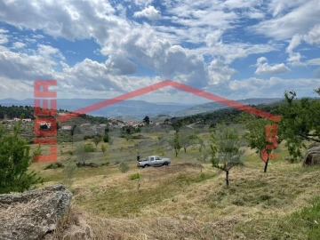 Terreno Agricola ou Rústico para Venda em Seixo de Manhoses