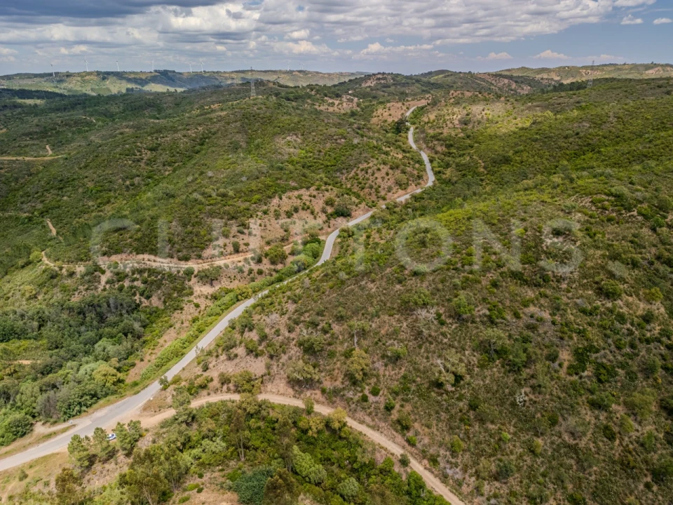 Terreno para Venda em São Brás de Alportel Foto 6