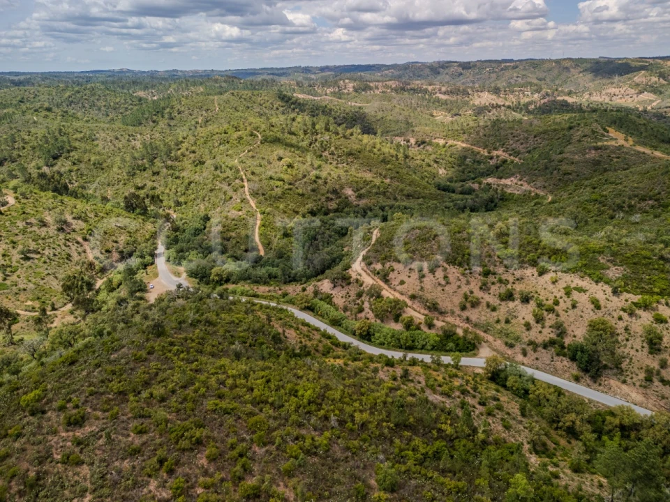Terreno para Venda em São Brás de Alportel Foto 10