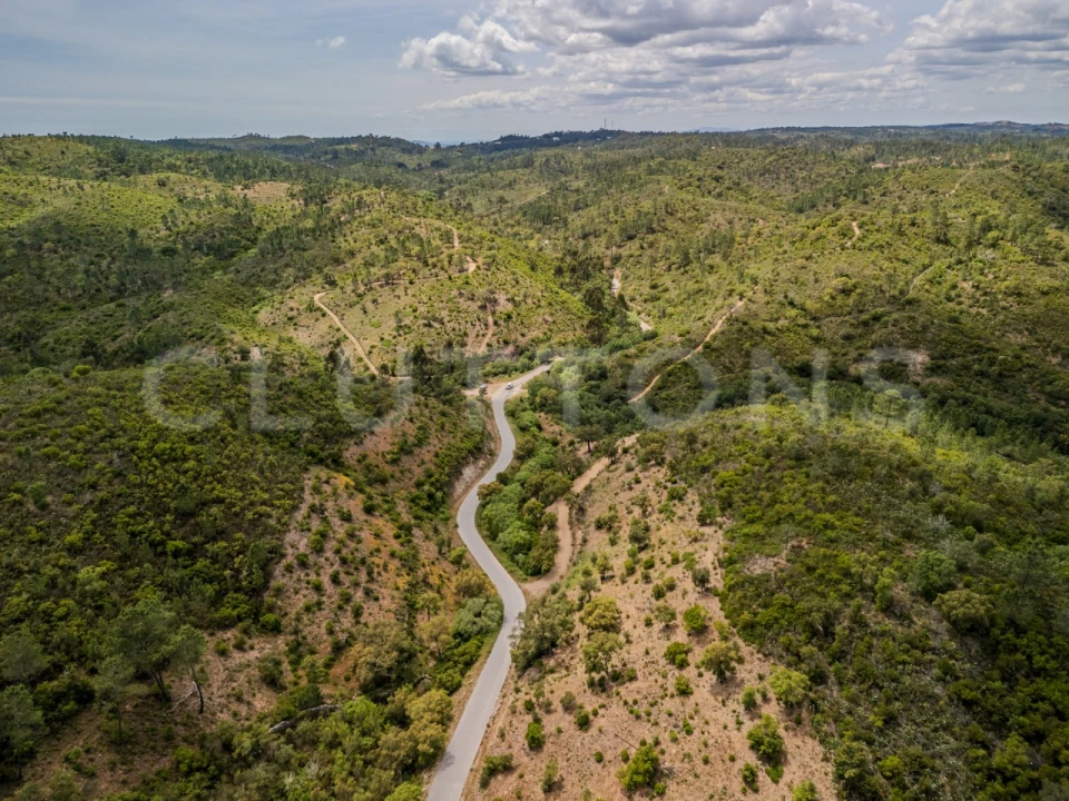 Terreno para Venda em São Brás de Alportel Foto 3