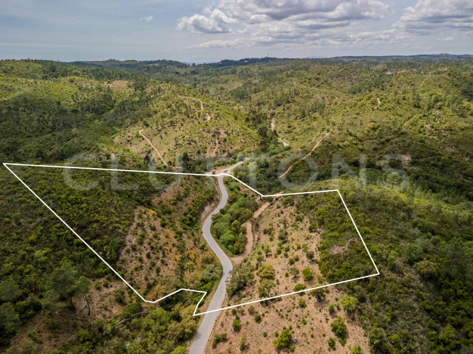Terreno para Venda em São Brás de Alportel Foto 1