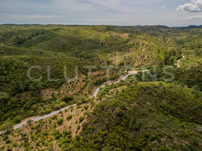 Terreno para Venda em São Brás de Alportel Foto 12