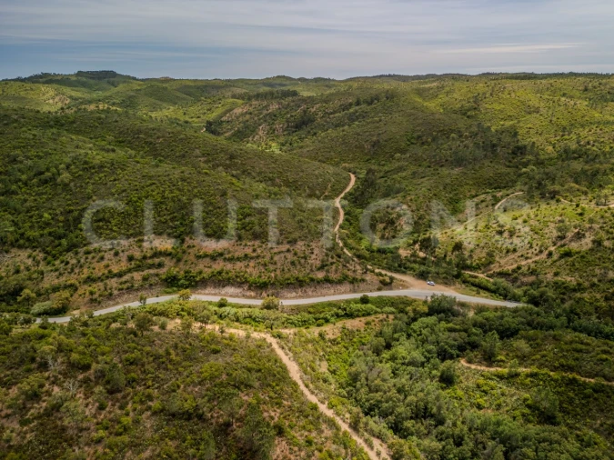 Terreno para Venda em São Brás de Alportel Foto 14