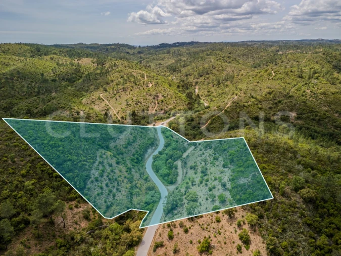 Terreno para Venda em São Brás de Alportel Foto 2