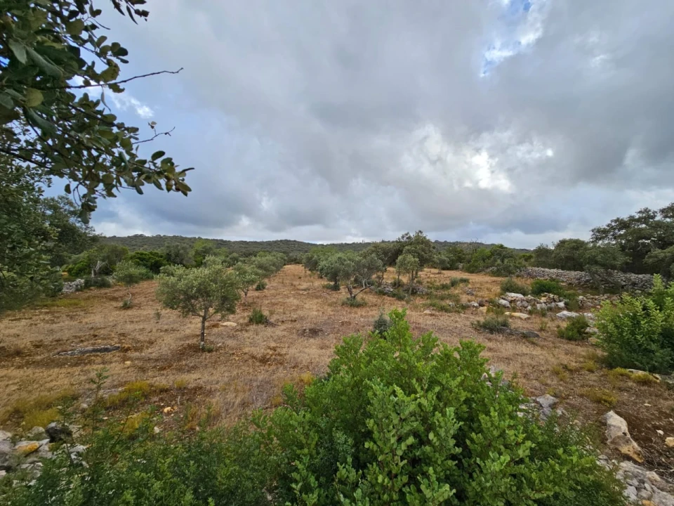 Terreno para Venda em São Brás de Alportel Foto 6