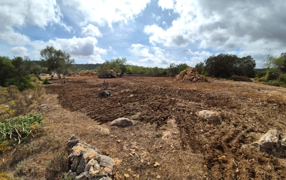 Terreno para Venda em São Brás de Alportel Foto 5