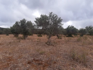 Terreno para Venda em São Brás de Alportel